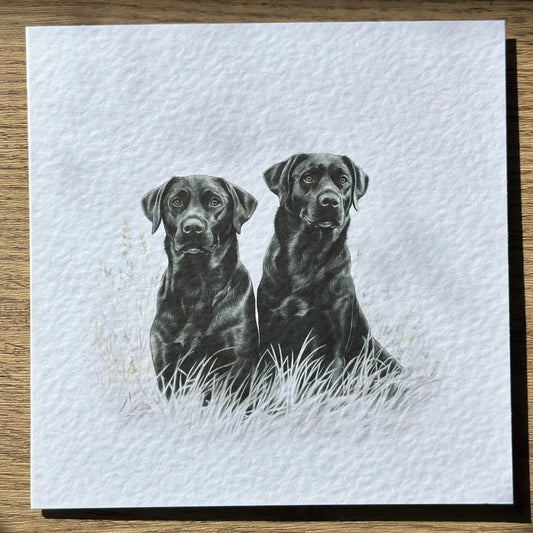 Black Labrador Retriever Card