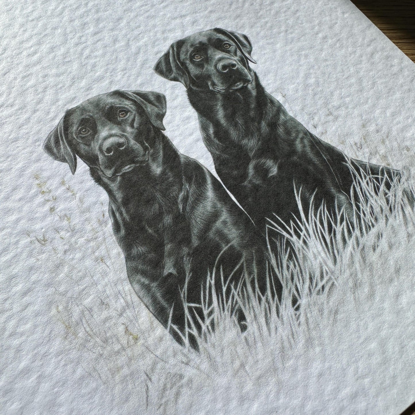 Black Labrador Retriever Card
