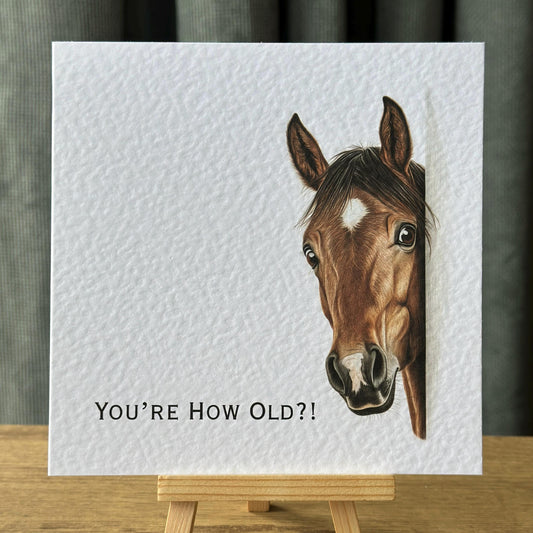 You're How Old?! Bay Horse Birthday Card