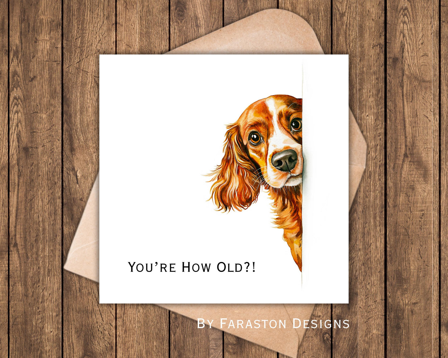 You’re How Old?! Cocker Spaniel Birthday Card