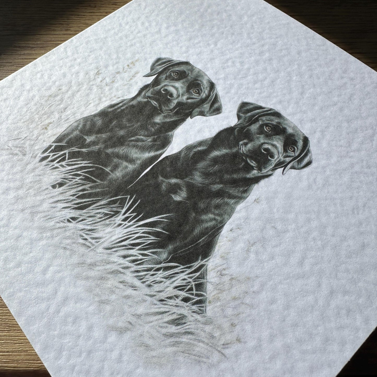Black Labrador Retriever Card