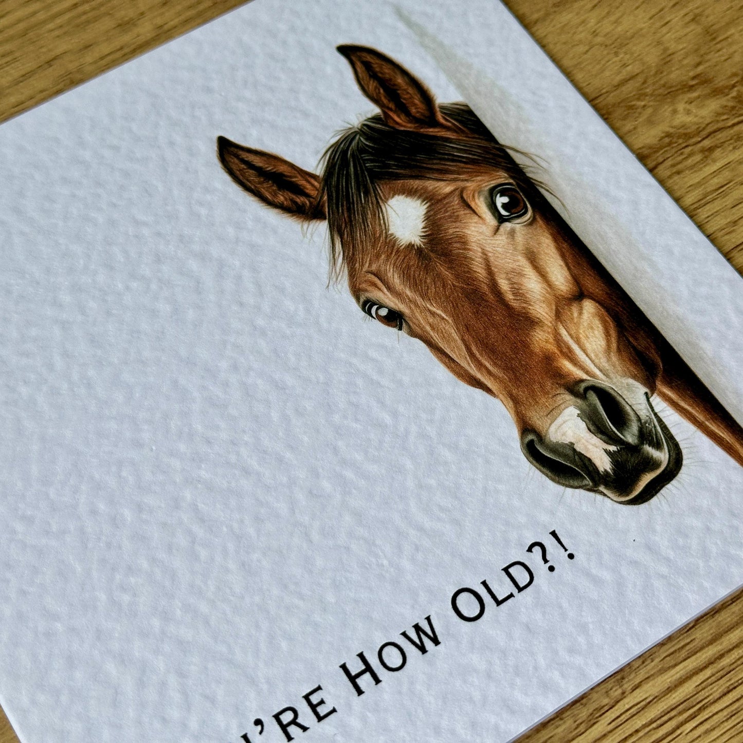 You're How Old?! Bay Horse Birthday Card