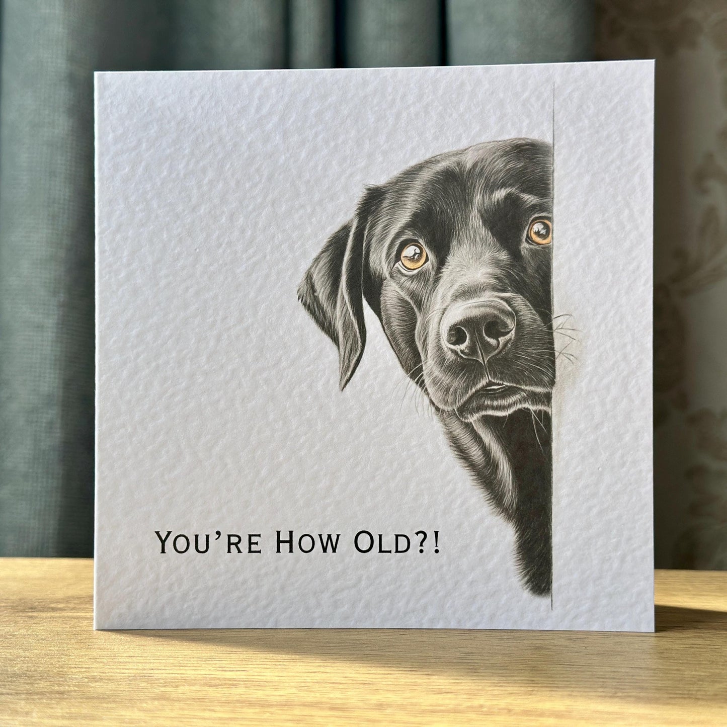 You're How Old?! Black Labrador Birthday Card
