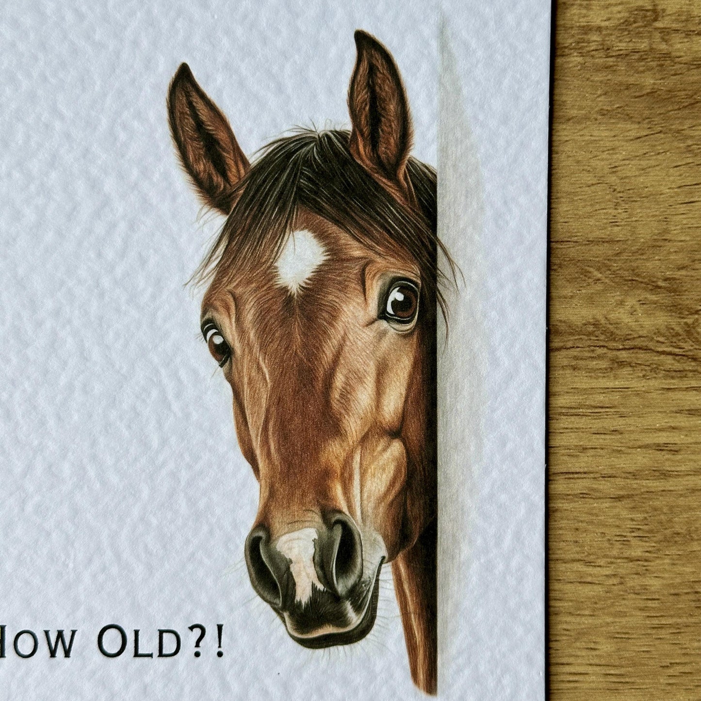 You're How Old?! Bay Horse Birthday Card