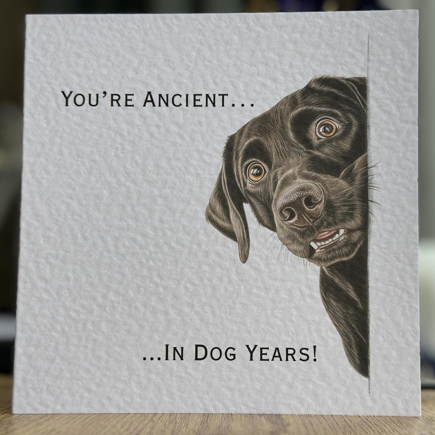 You're Ancient! Labrador Birthday Card