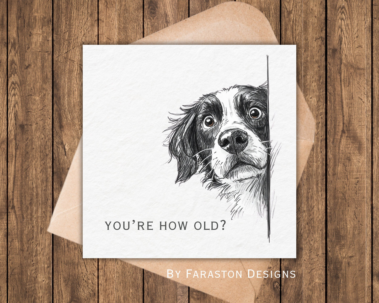You're How Old?! Springer Spaniel Birthday Card