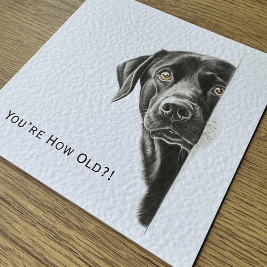 You're How Old?! Black Labrador Birthday Card