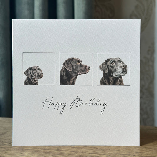 Chocolate Labrador Birthday Card