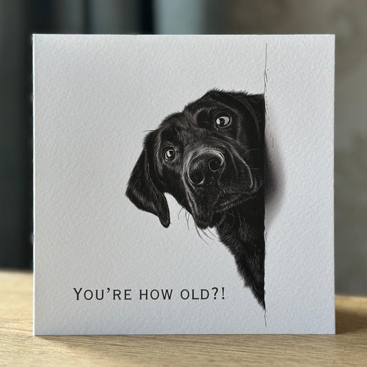 You're How Old?! Black Labrador Birthday Card