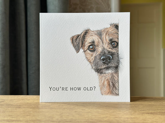 Funny Border Terrier "You're How Old?" Birthday Card