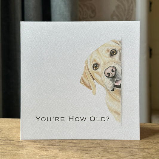 You're How Old?! Yellow Labrador Birthday Card