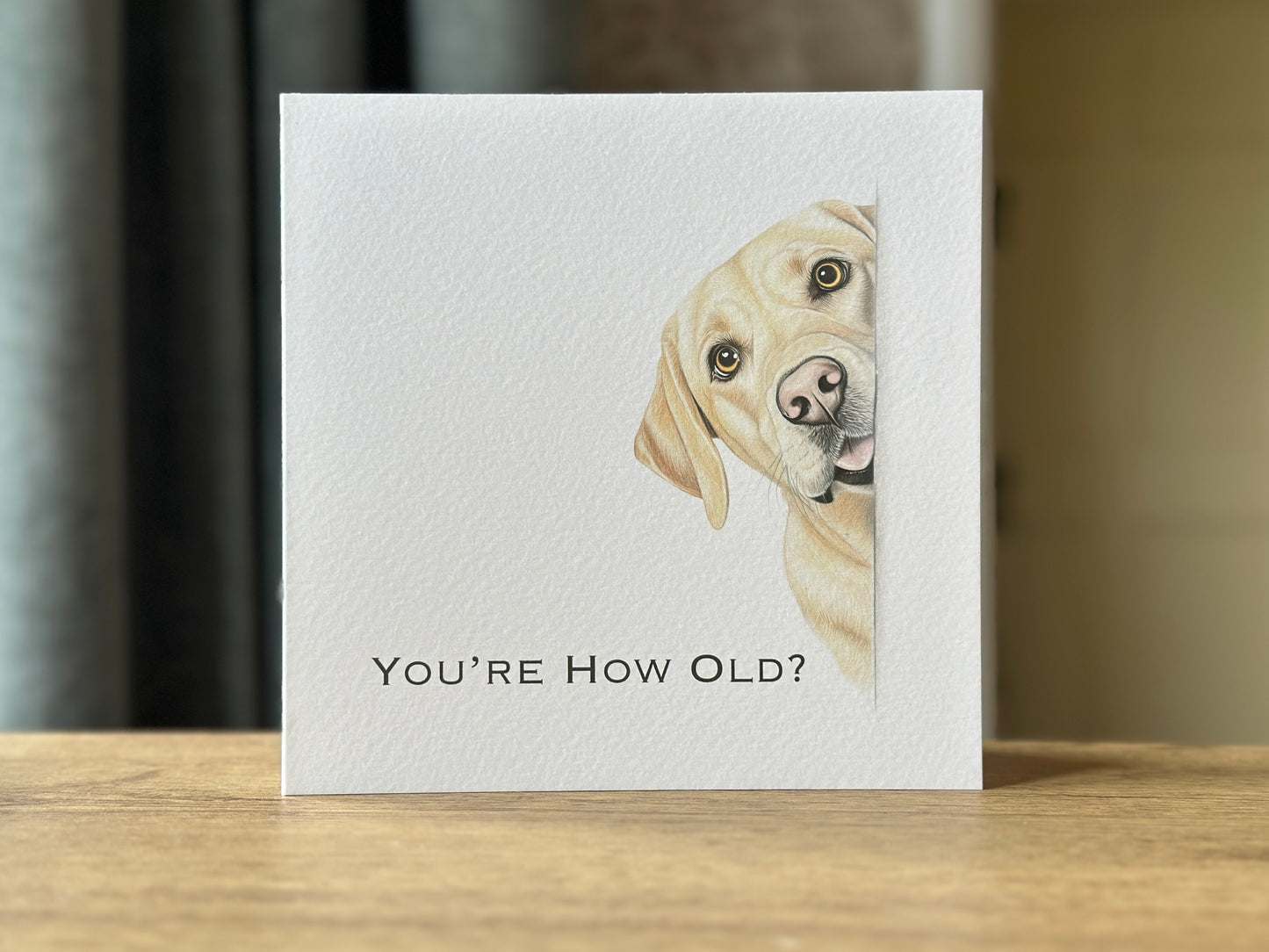 You're How Old?! Yellow Labrador Birthday Card