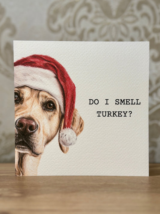 Do I Smell Turkey? Yellow Labrador