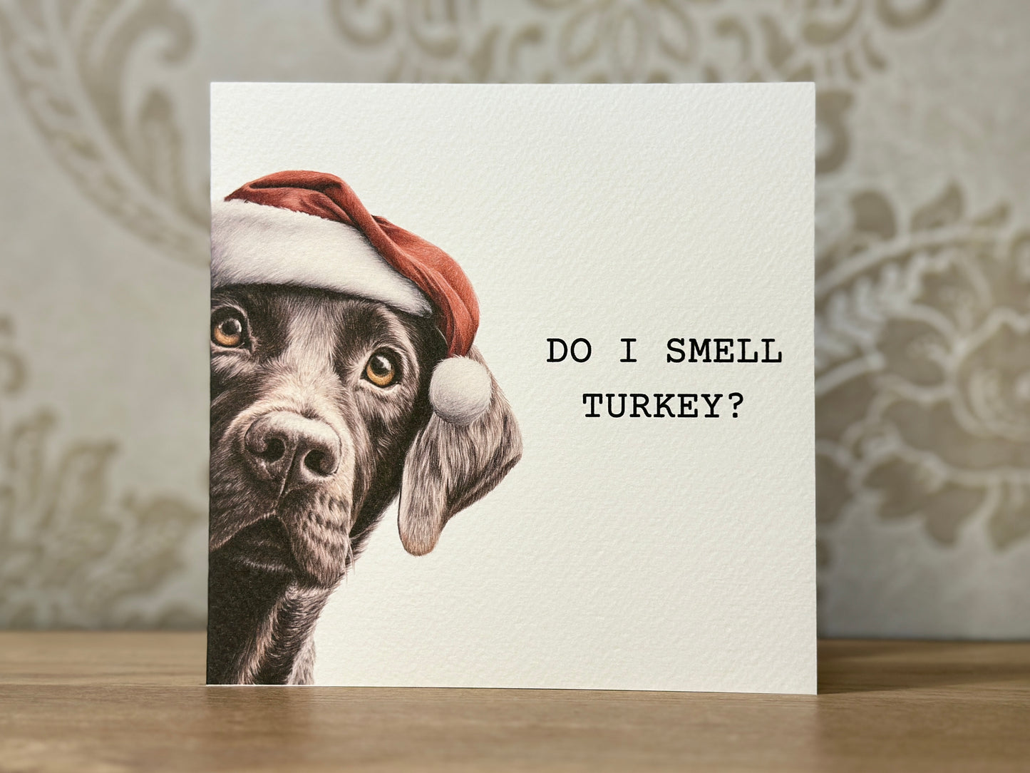 Do I Smell Turkey? Chocolate Labrador