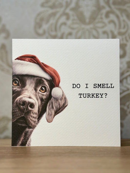 Do I Smell Turkey? Chocolate Labrador
