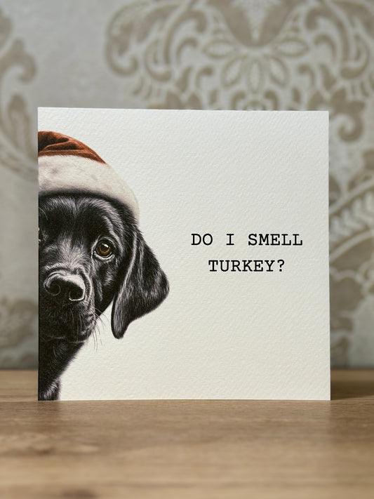 Do I Smell Turkey? Black Labrador
