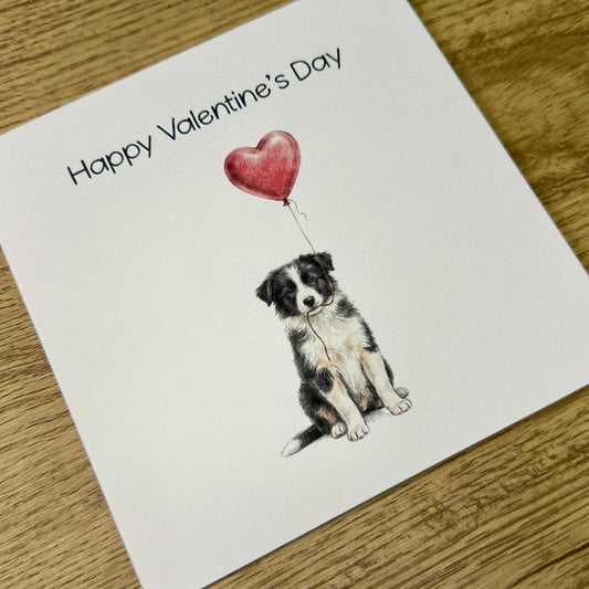 Border Collie with Heart Balloon