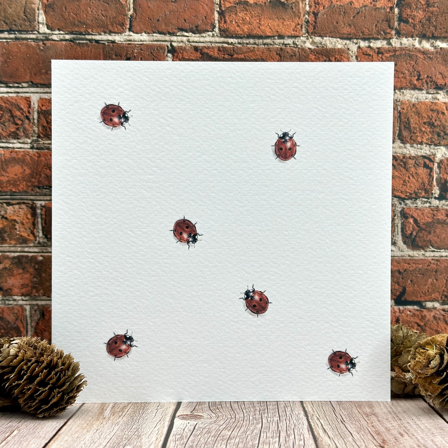 Little Ladybirds Greeting Card