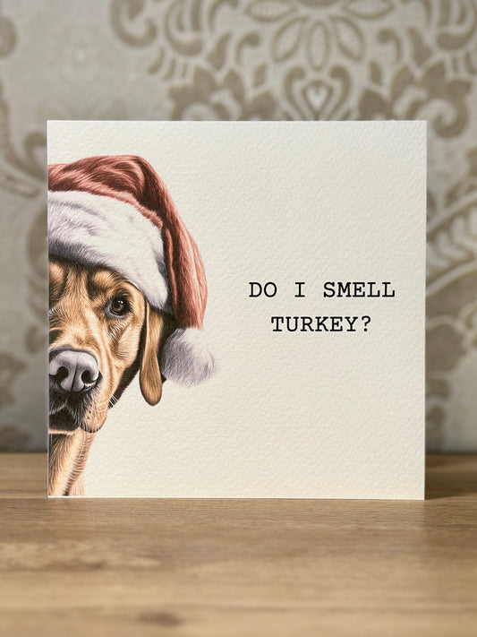 Fox Red Labrador wearing a Santa hat