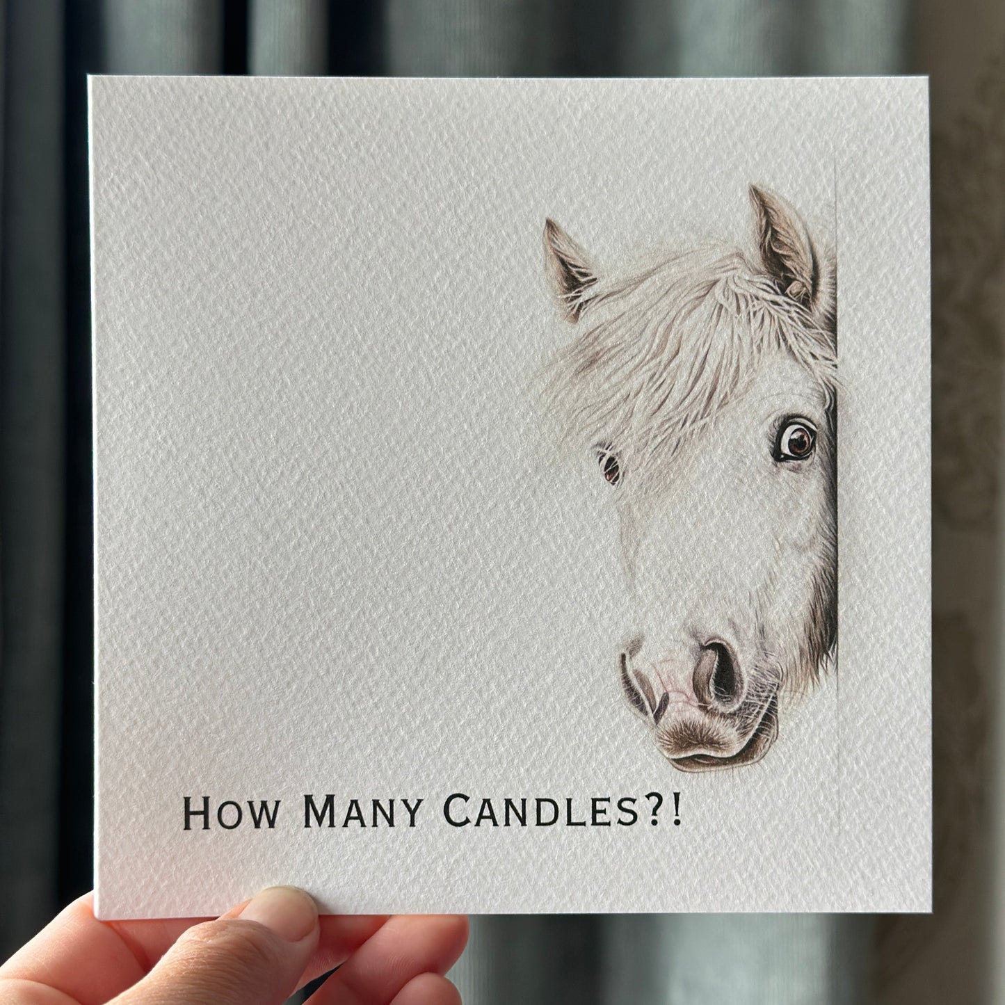 Card with a horse illustration and text 'How Many Candles?!' held by a hand.