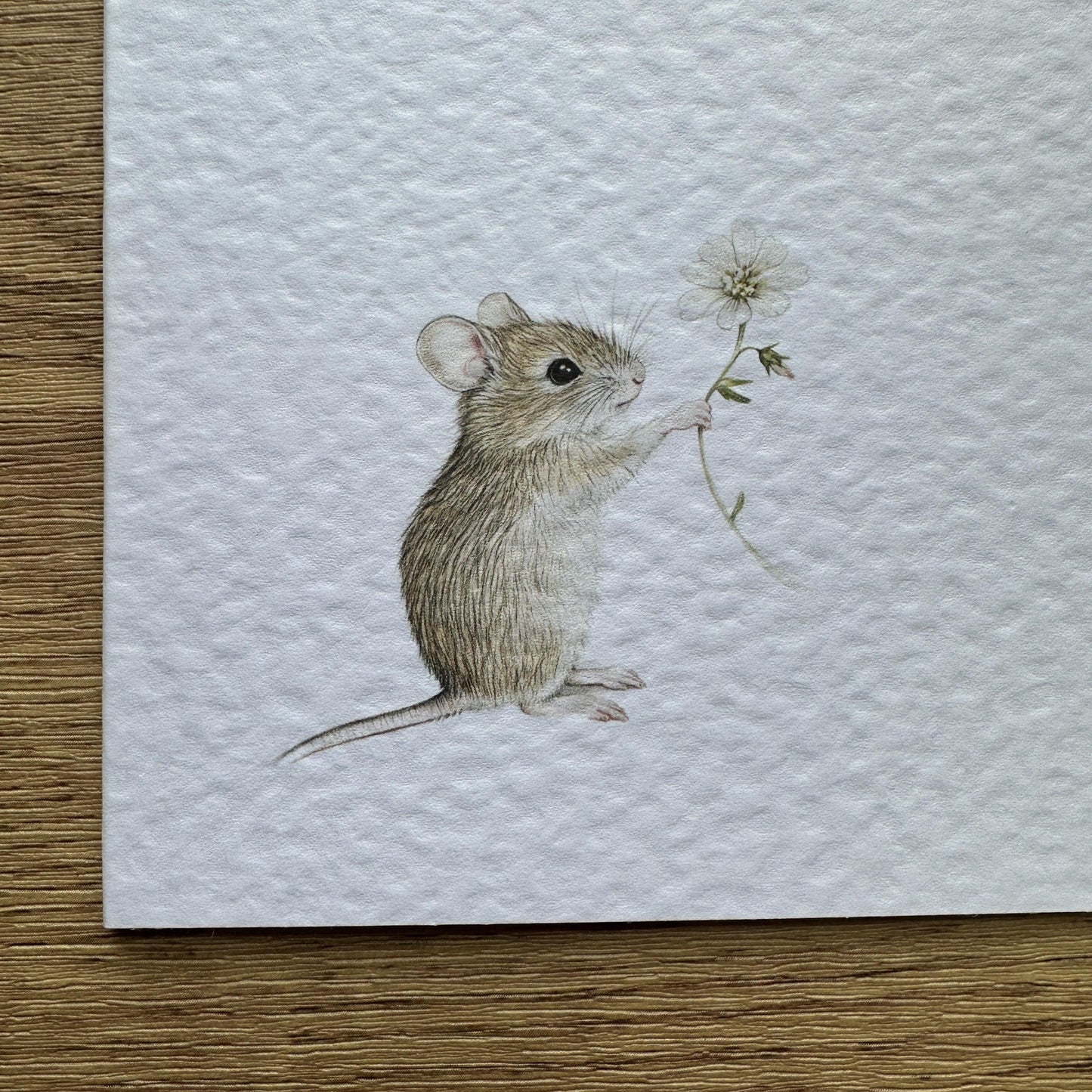Mouse Happy Birthday Card