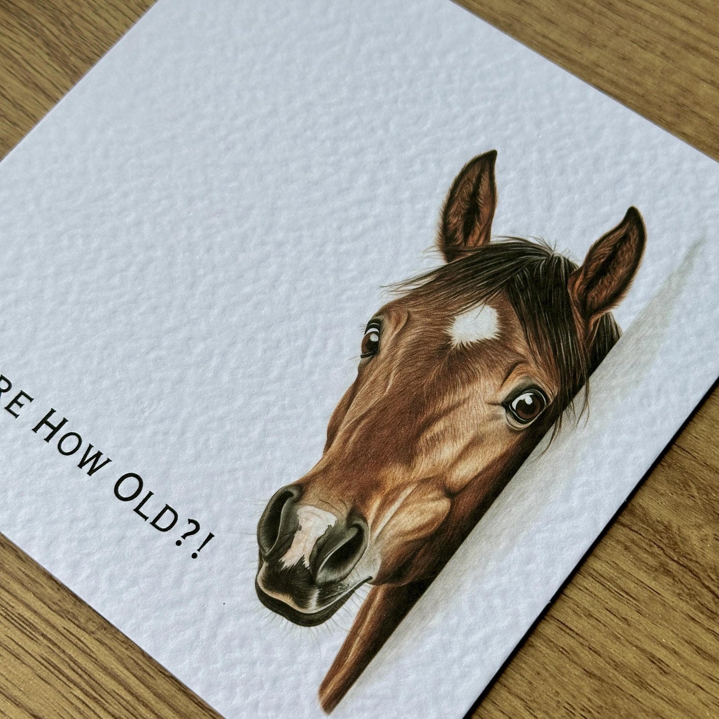 You're How Old?! Bay Horse Birthday Card