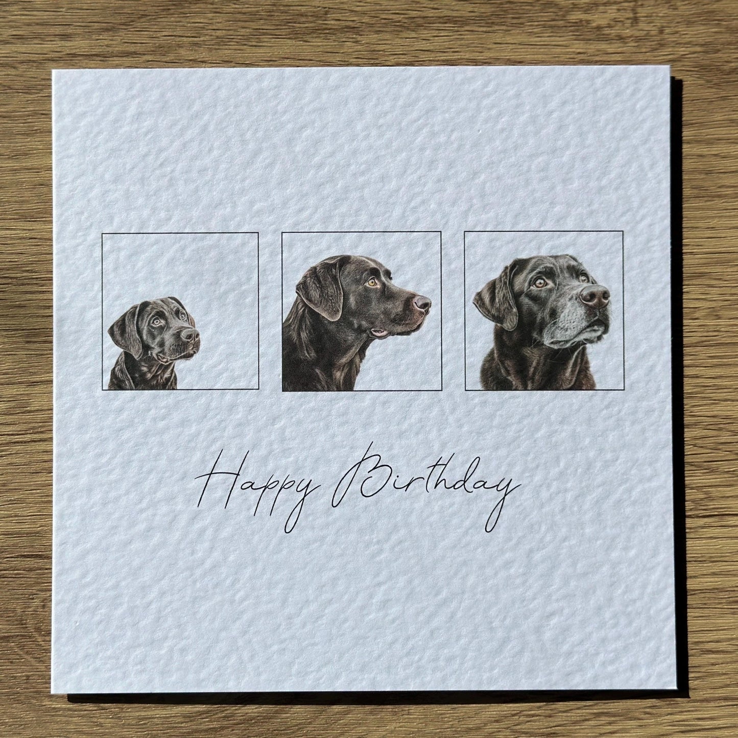 Chocolate Labrador Birthday Card