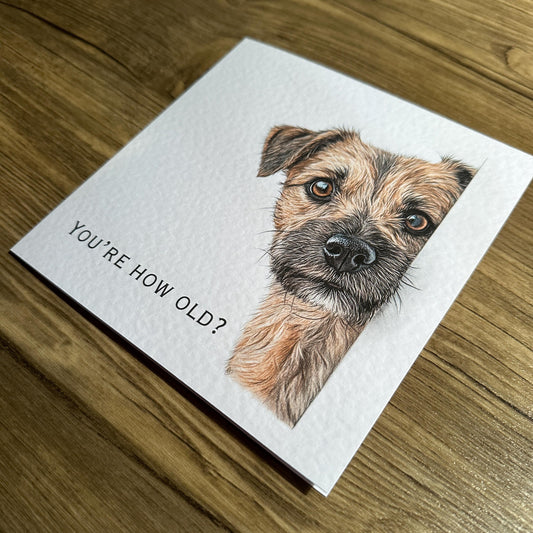 You're How Old?! Border Terrer Birthday Card