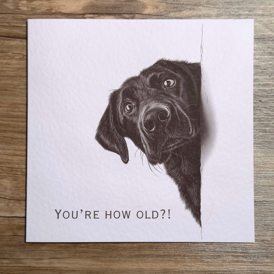 You're How Old?! Black Labrador Birthday Card