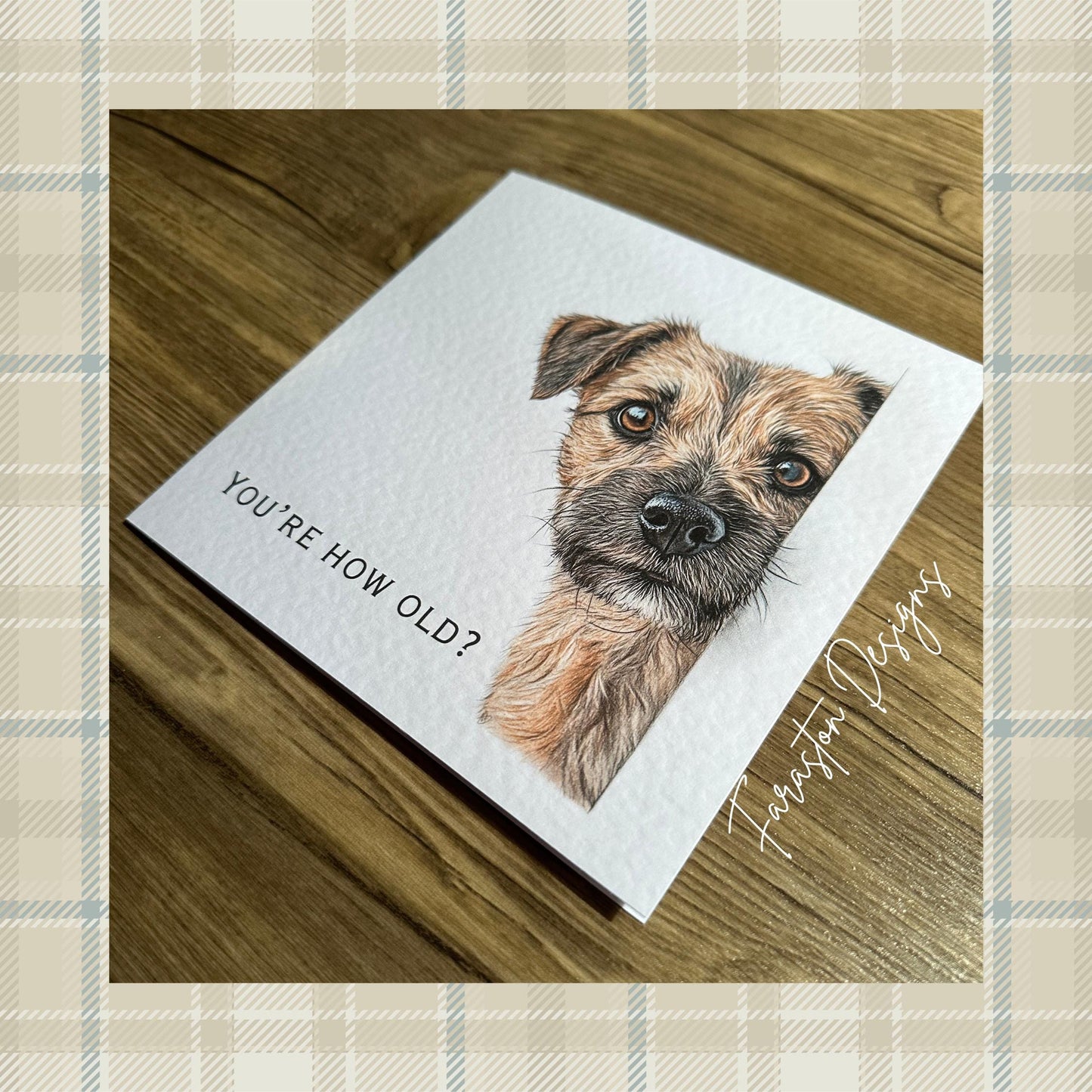 You're How Old?! Border Terrer Birthday Card
