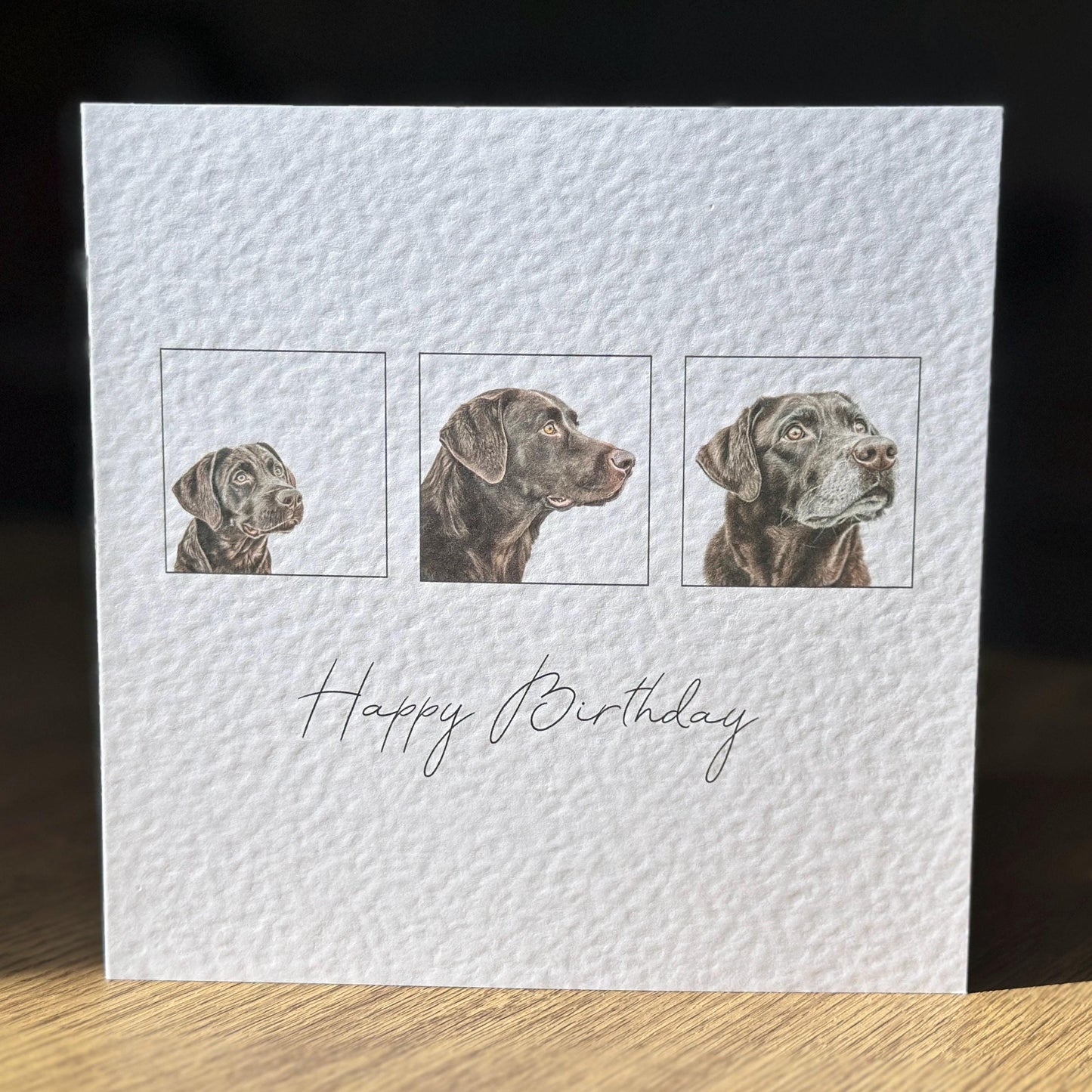 Chocolate Labrador Birthday Card