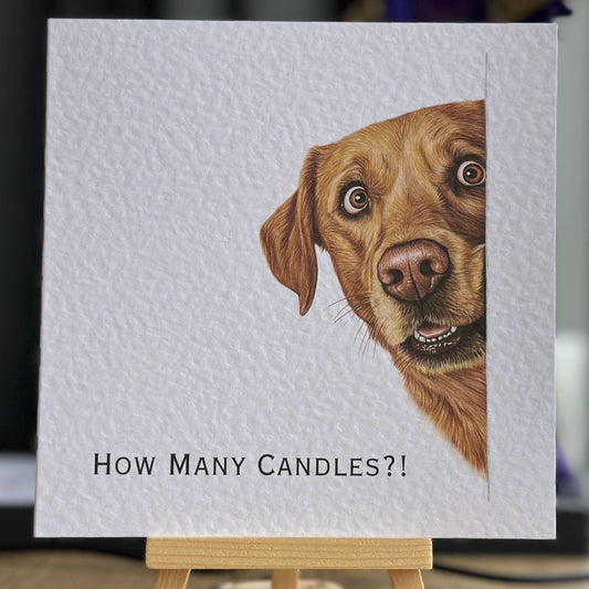 How Many Candles?! Labrador Birthday Card