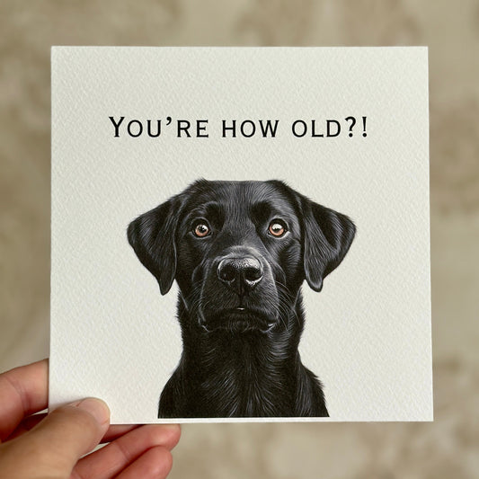 Card with a black dog illustration and text 'You're how old?!' held by a hand.