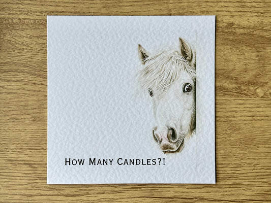 How Many Candles?! Grey (White) Horse Birthday Card