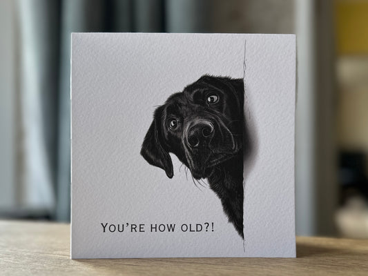 You're How Old?! Black Labrador Birthday Card