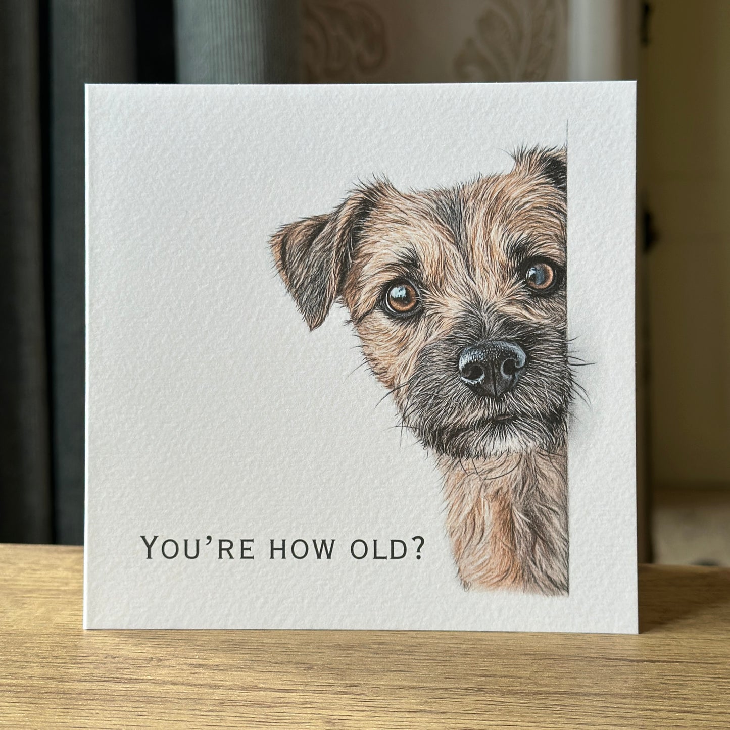 You're How Old?! Border Terrier Birthday Card