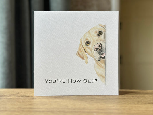 You're How Old?! Yellow Labrador Birthday Card