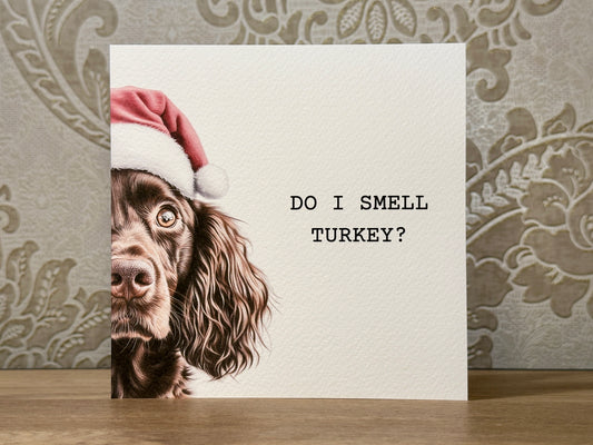 Do I Smell Turkey? Chocolate Cocker Spaniel