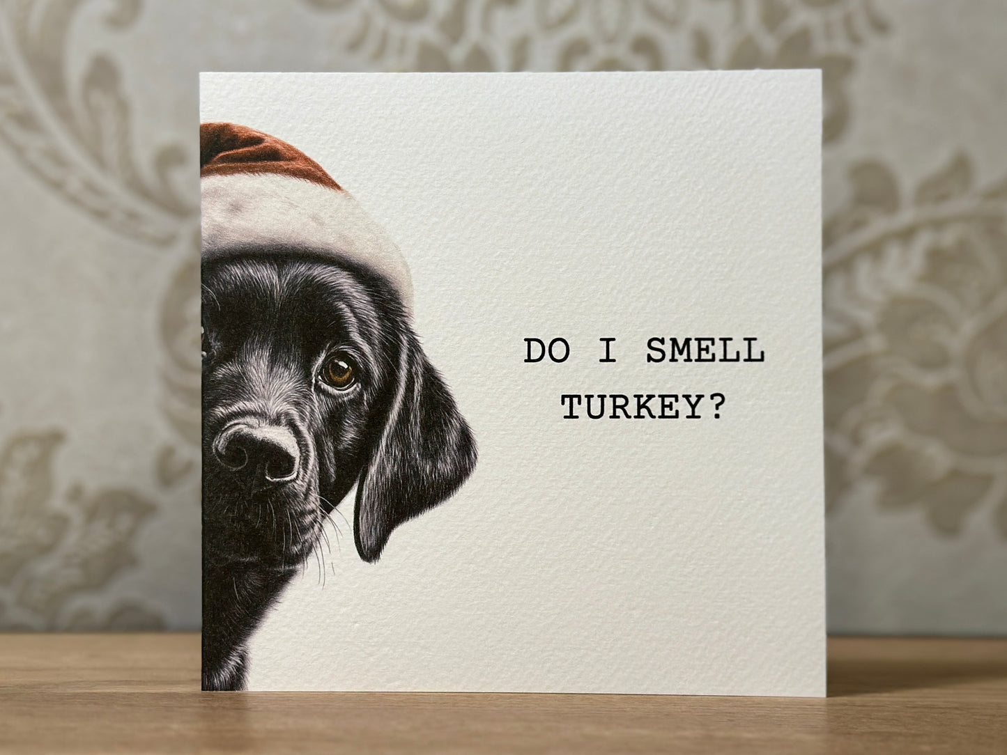 Do I Smell Turkey? Black Labrador