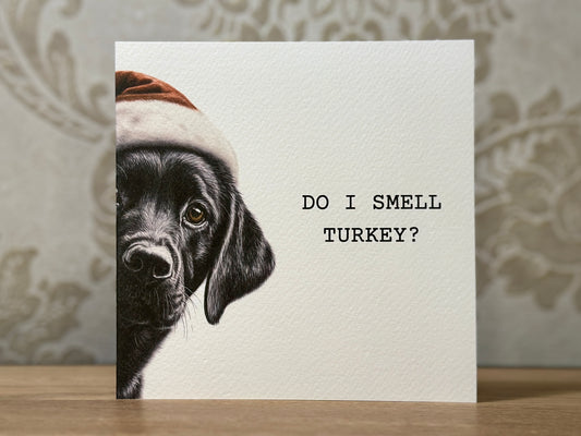Do I Smell Turkey? Black Labrador