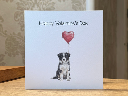 Border Collie with Heart Balloon