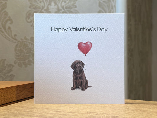 Chocolate Labrador with Heart Balloon