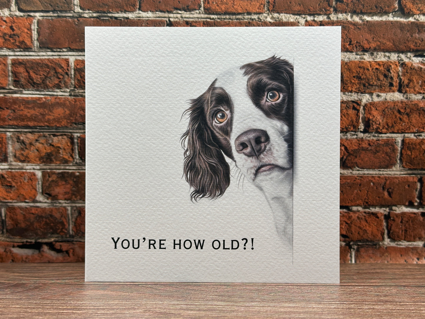 You're How Old?! Springer Spaniel Birthday Card.
