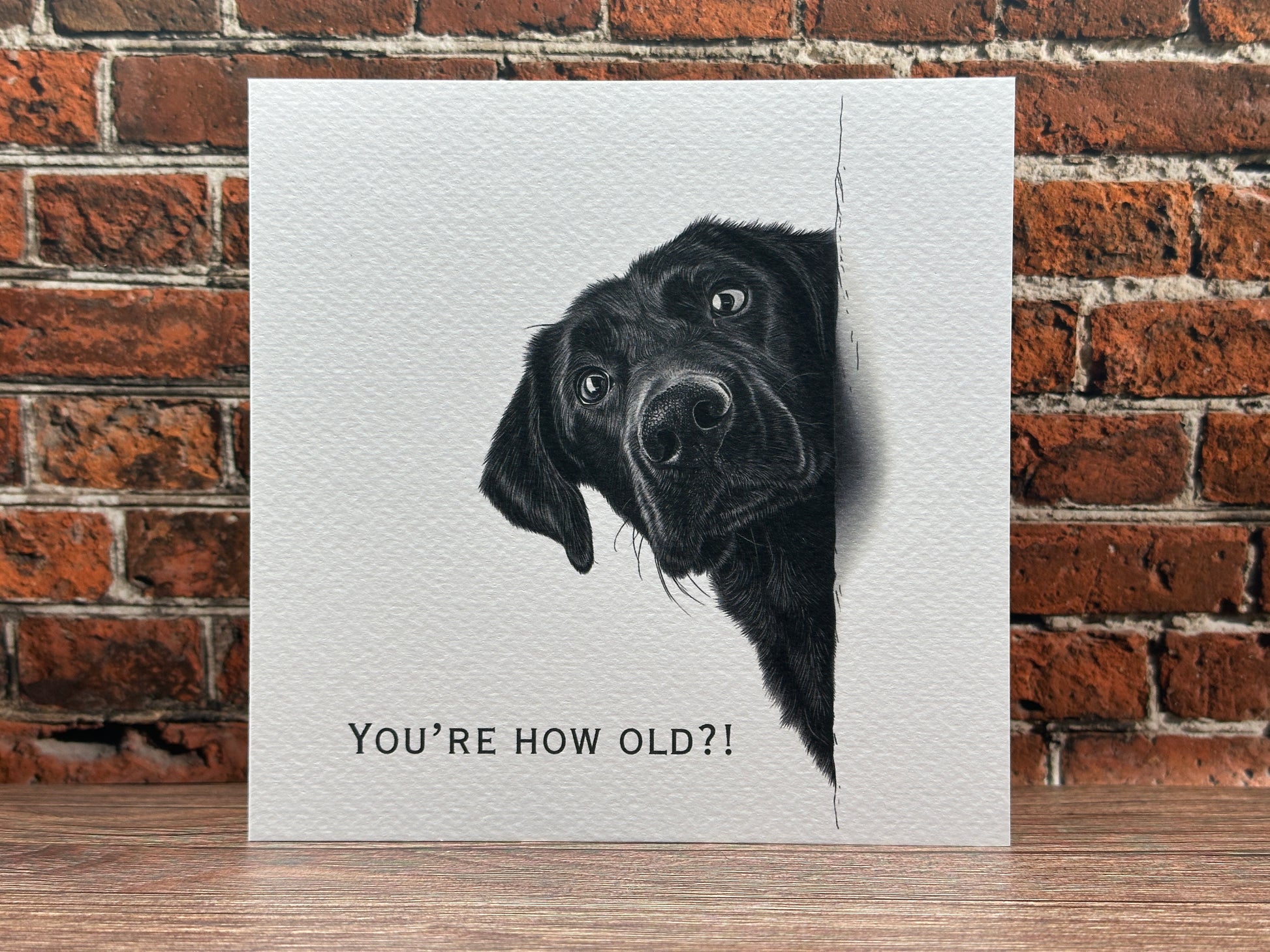 Realistic pencil drawing of a Black Labrador dog peeking around the right side of the card with wide, shocked eyes, next to the text You're How Old?!
