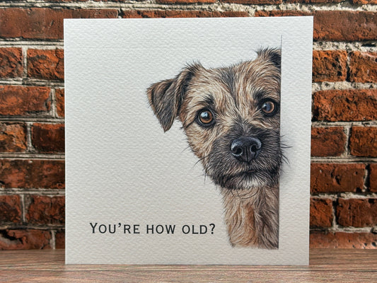 Funny Border Terrier "You're How Old?" Birthday Card