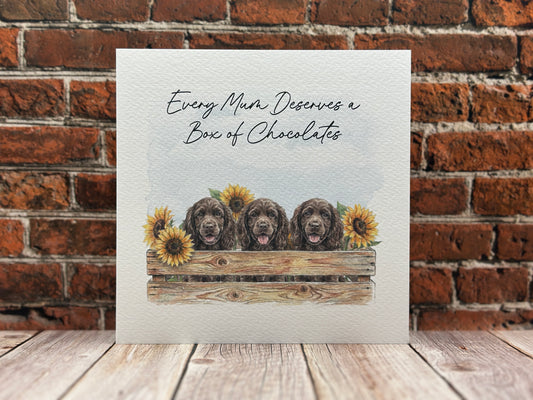 Every Mum Deserves a Box of Chocolates - Funny Spaniel Dog Mum Card