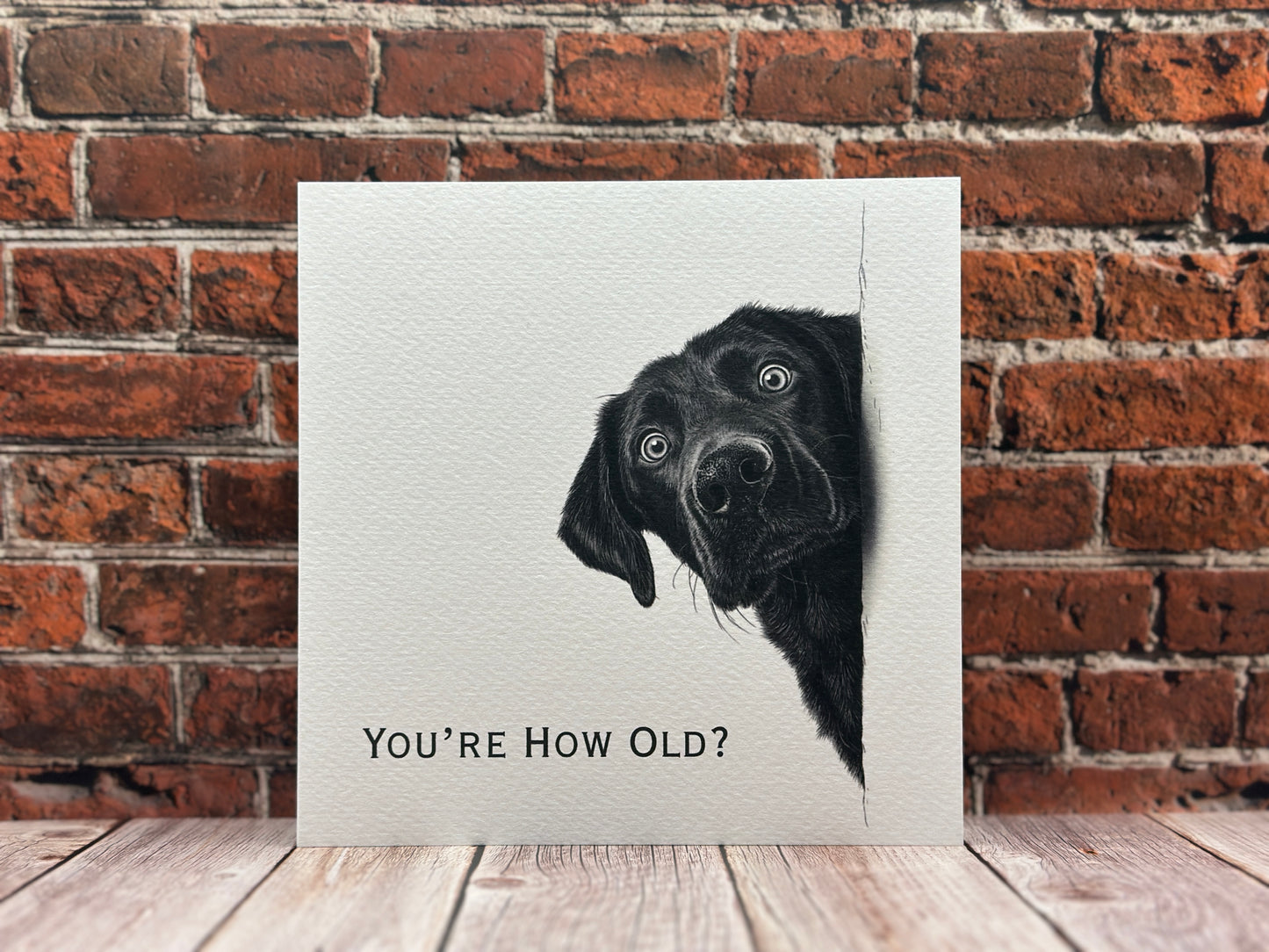 "You're How Old?!" Black Labrador Birthday Card | Funny Shocked Dog Illustration