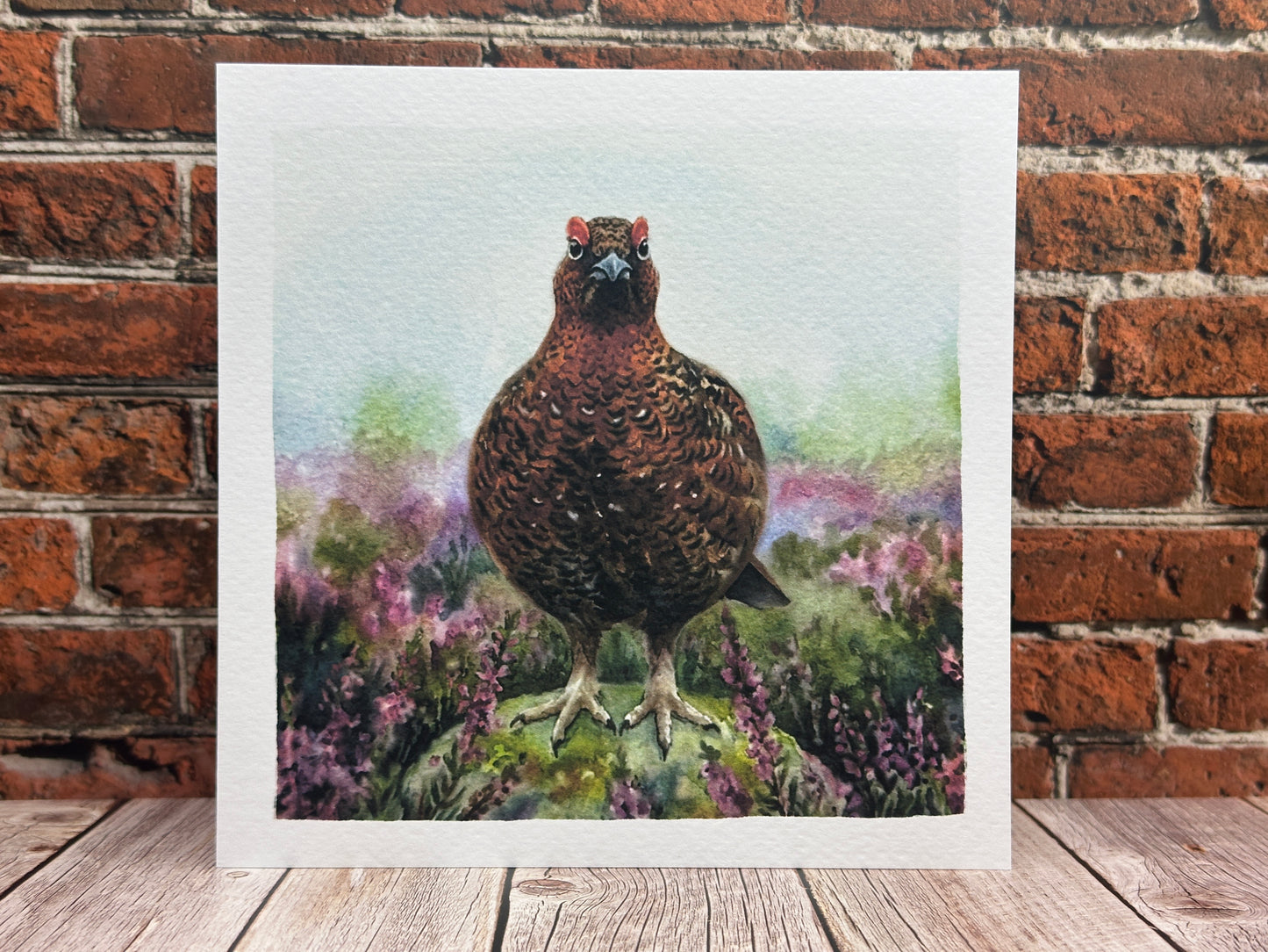 Red Grouse Heather Moorland Greeting Card