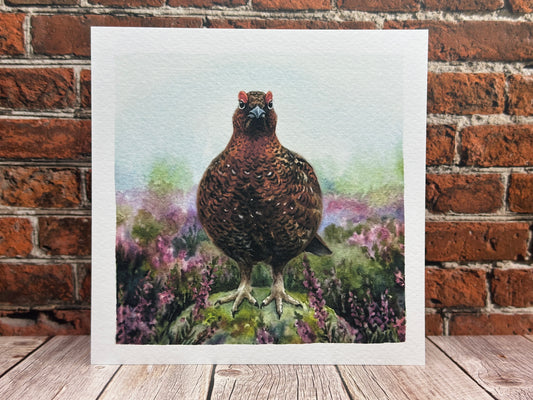 Red Grouse Heather Moorland Greeting Card