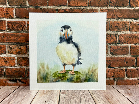 Puffin Coastal Wildlife Greeting Card